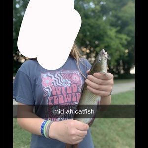 Meet your Posher, Bailey